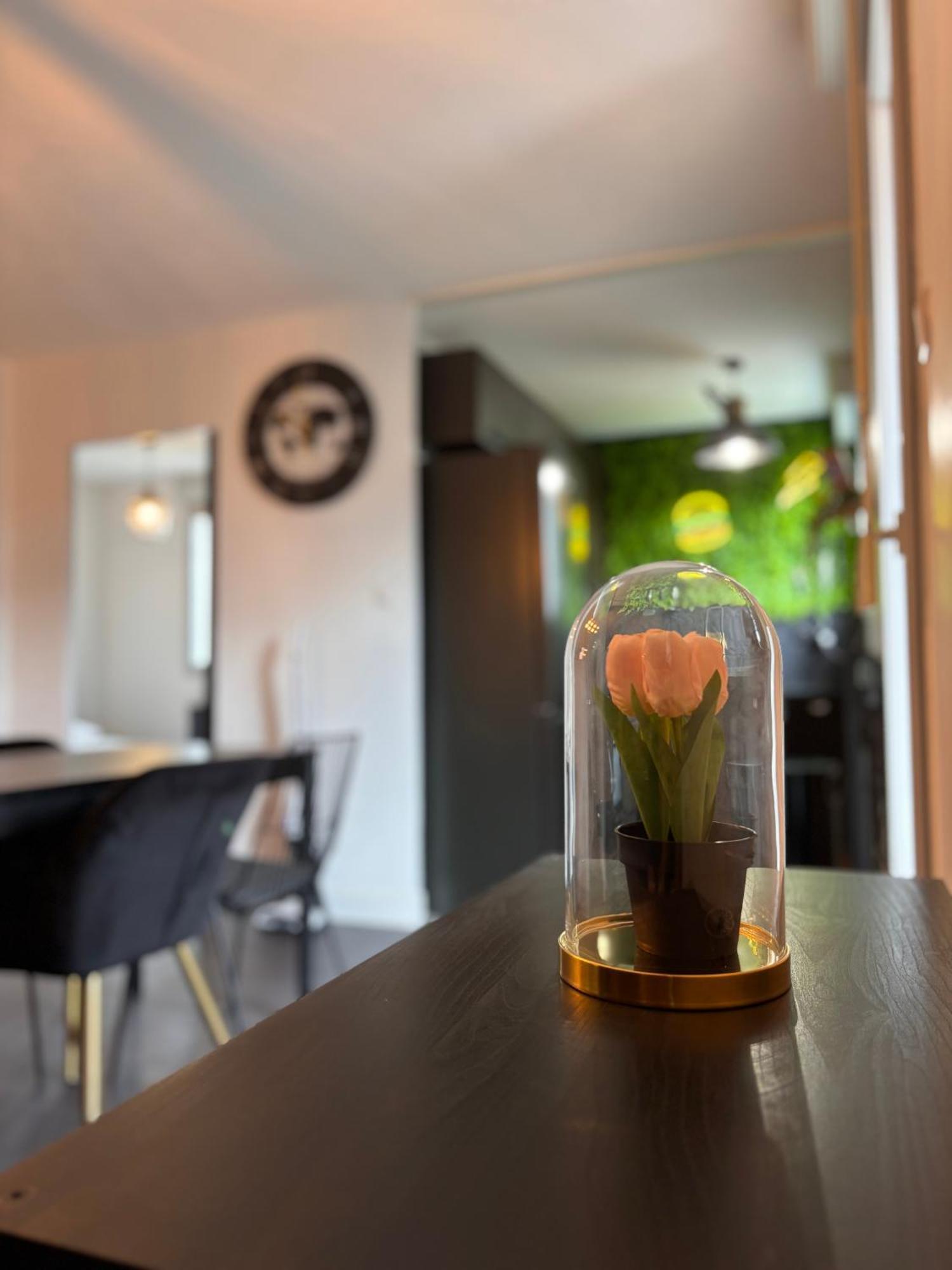 Charmant Appartement Toulouse Extérieur photo